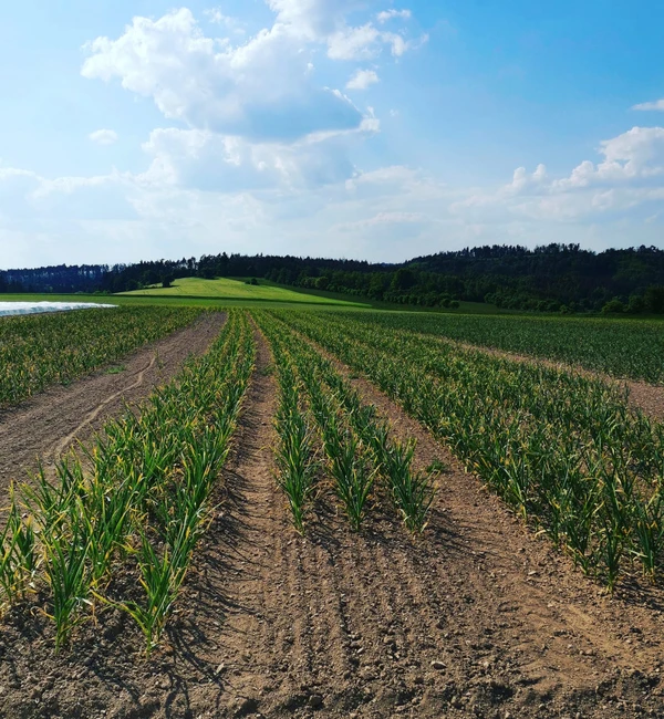 Farma Kala Kuřimská Nová Ves