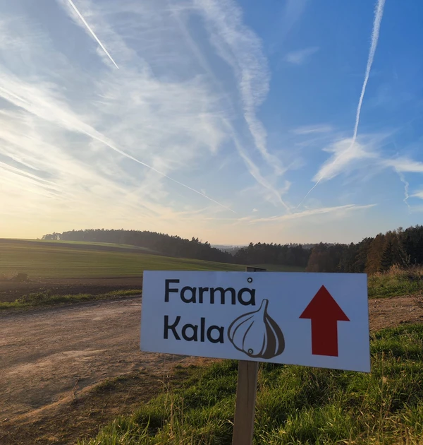 470173054_991979772957803_9072208154943901238_n